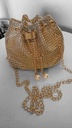 Golden Pearl Bag